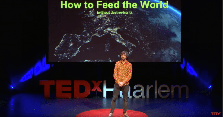 TedTalk Hidde Boersma – How to feed the world