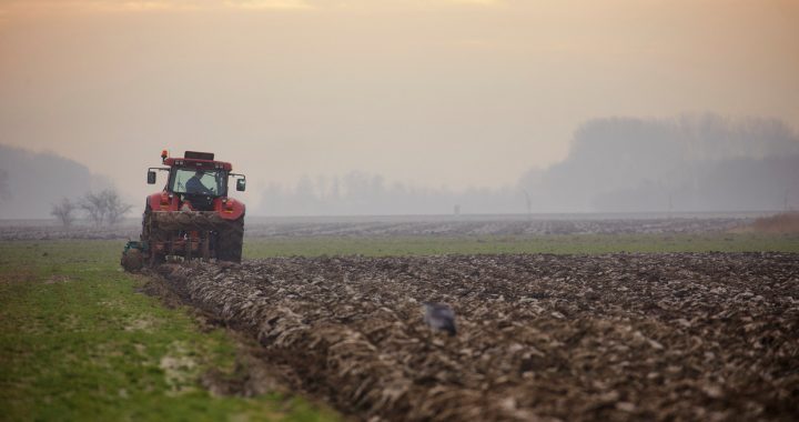 Lever boeren niet langer uit aan de lage prijzen op de wereldmarkt