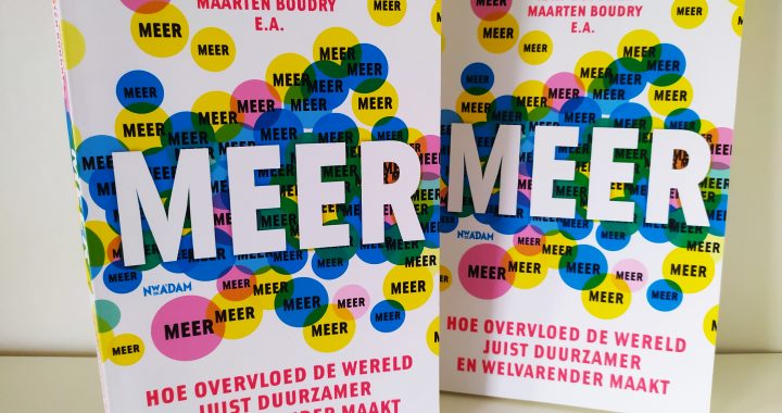 Boek: Meer: Hoe overvloed de wereld juist duurzamer en welvarender maakt