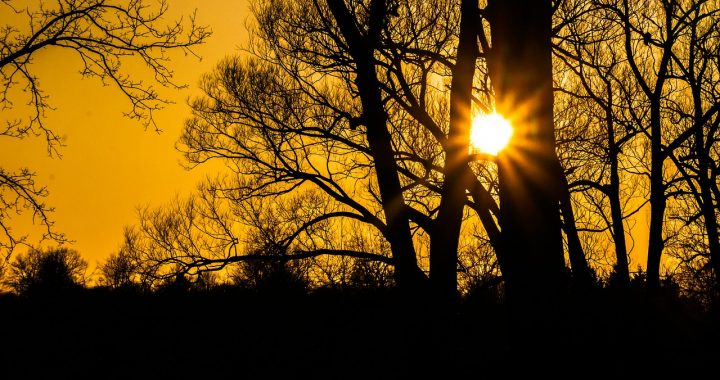 Tien jaar na Fukushima: een natuurramp, geen kernramp